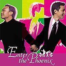 Enter the Phoenix VOSTFR DVDRIP XVID preview 2